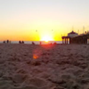 Meet your Posher, Molly